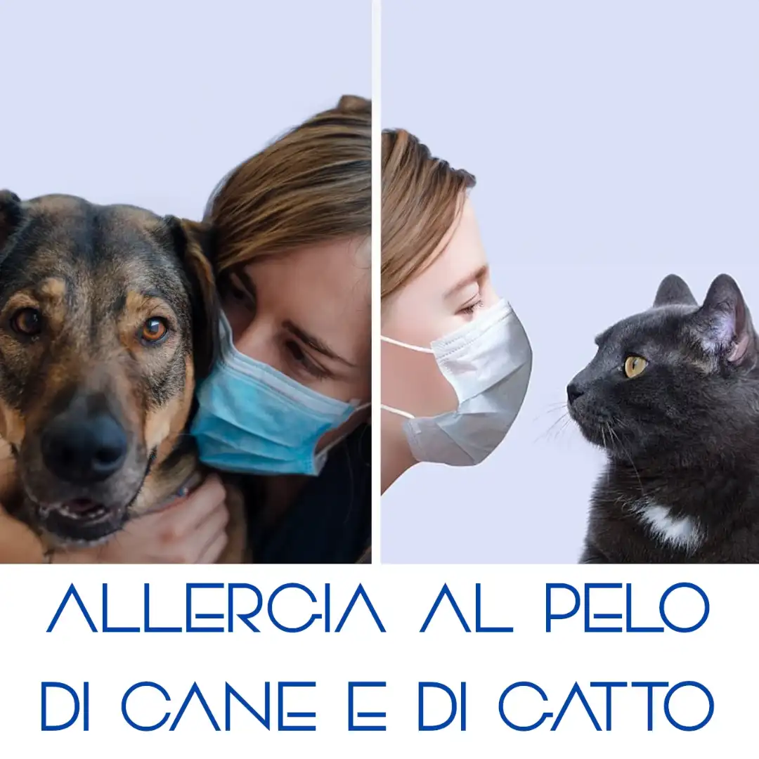 Esame delle allergie a cani e gatti